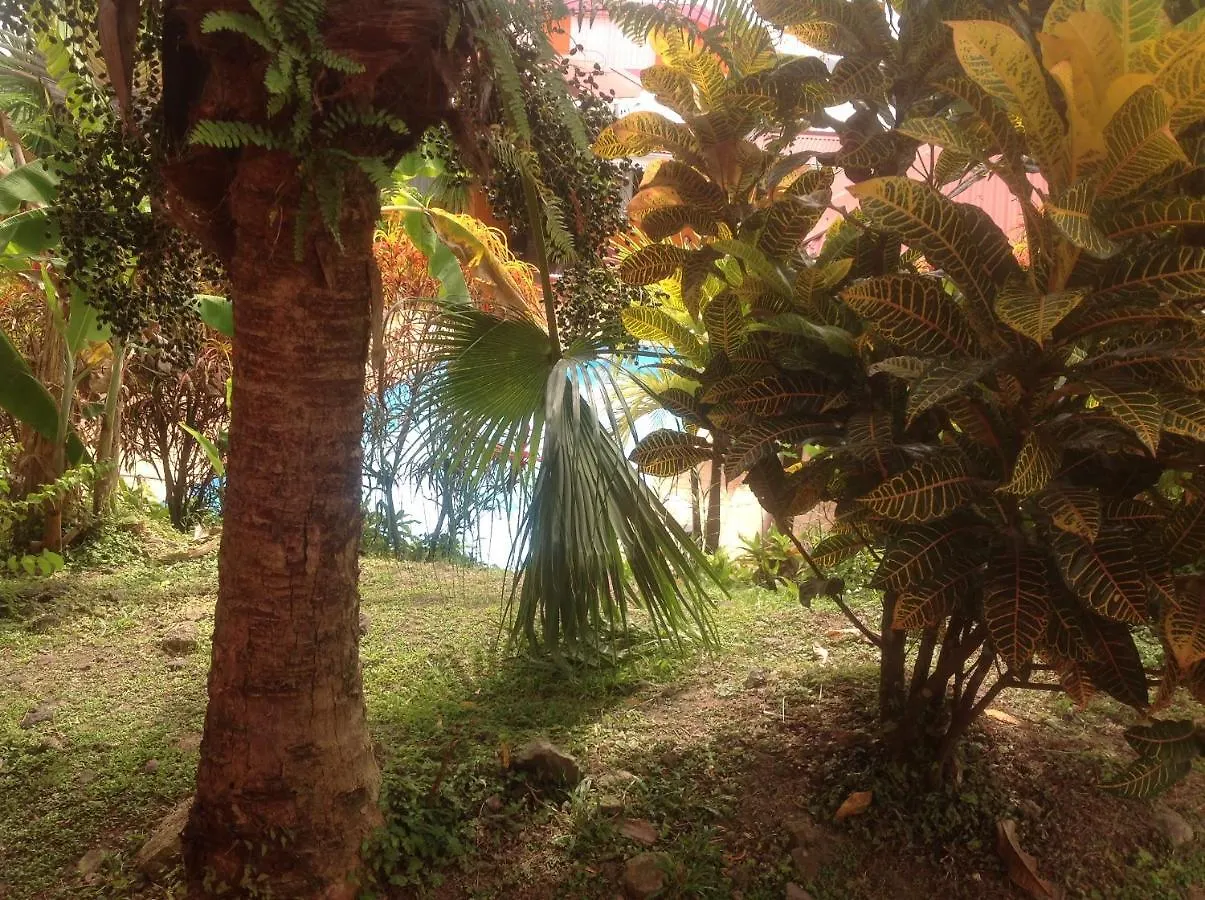 Villa Manguier Riviere-Salee